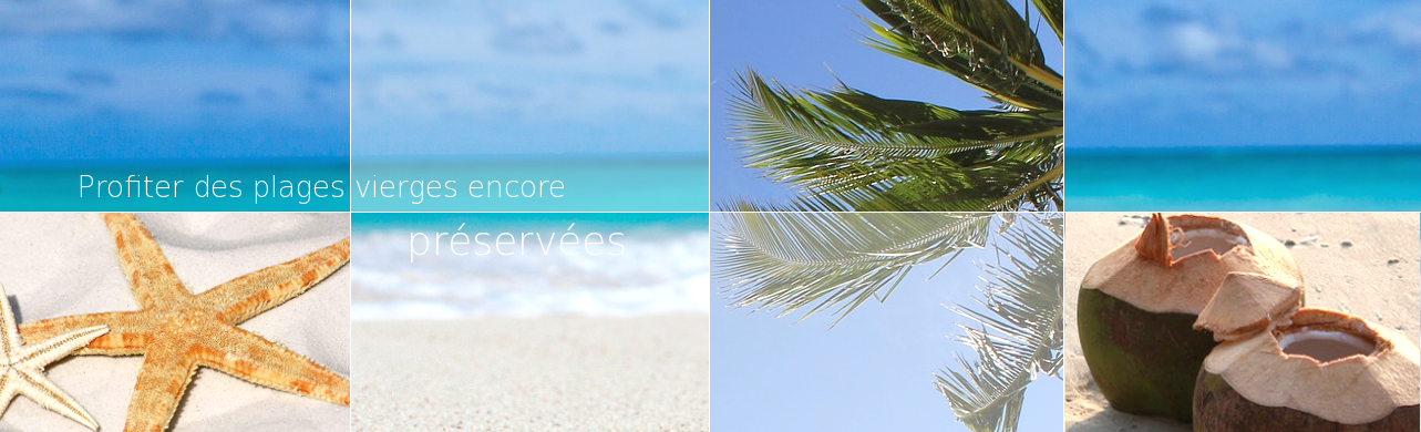 Les plages vierges